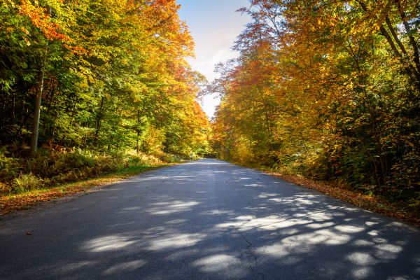 Cost of Blacktop Replacement in Kent